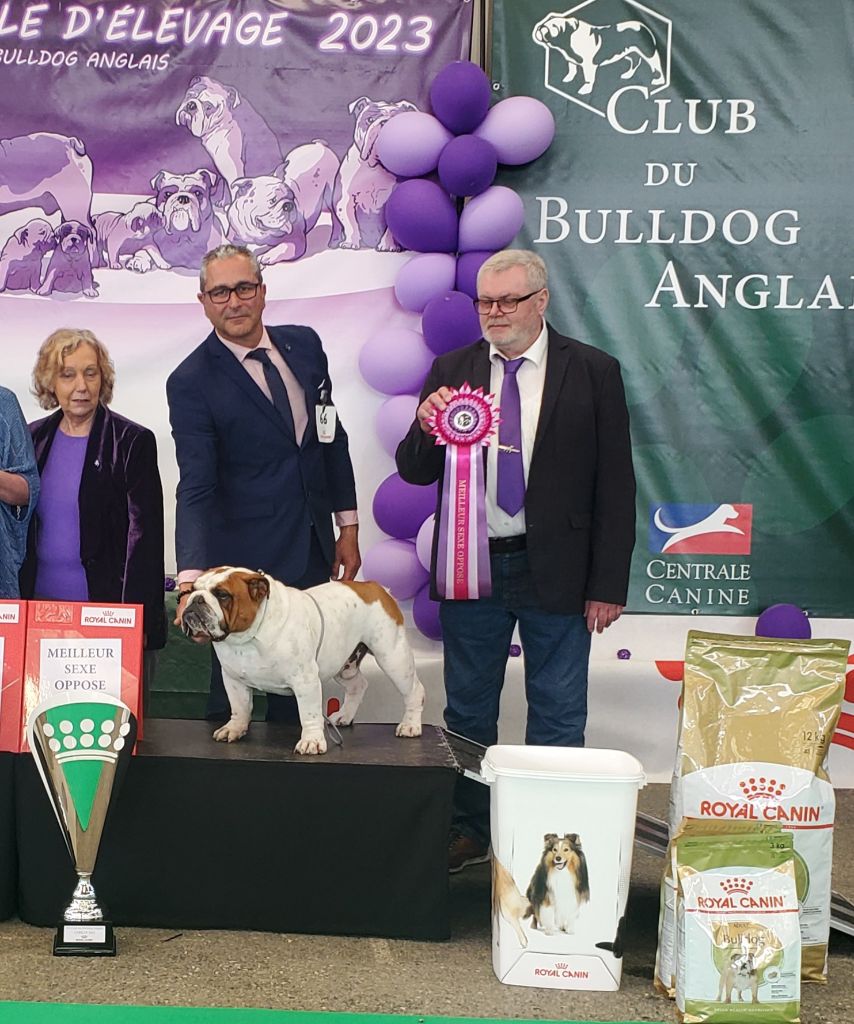 Of Kindy Bulls - Nationale d elevage 2023 CERILLY 