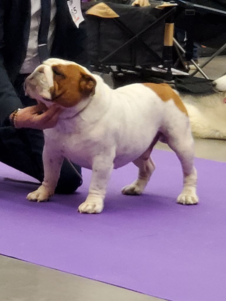 Of Kindy Bulls - Nouveau champion international 
